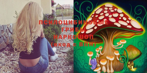 спиды Верея