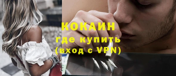 дживик Верхний Тагил