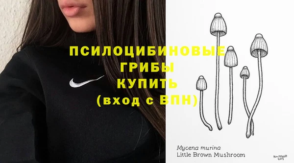 дживик Верхний Тагил