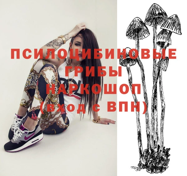 дживик Верхний Тагил
