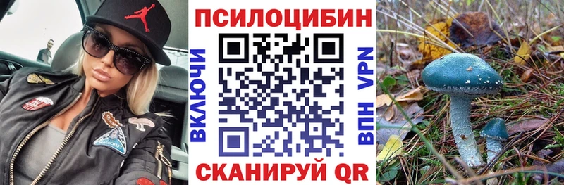 Купить  Мглин  Псилоцибиновые грибы мухоморы 